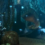 underwater