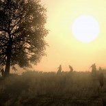 4-red-dead-redemption-undead-nightmare 4-red-dead-redemption-undead-nightmare