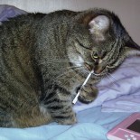 ilove_my_stylus ilove_my_stylus