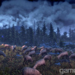 witcher3_12