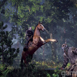 witcher3_4