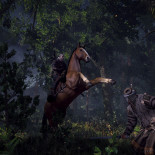 witcher3_WH_004