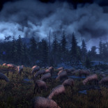 witcher3_WH_011
