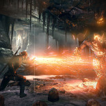 witcher3_WH_015