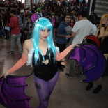 DSC00237