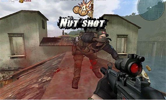 nut_shot