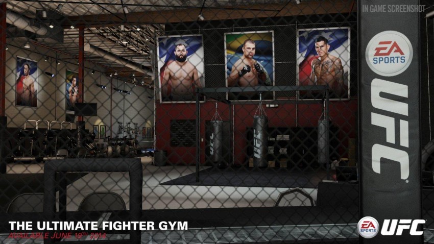 EA_Sports_UFC